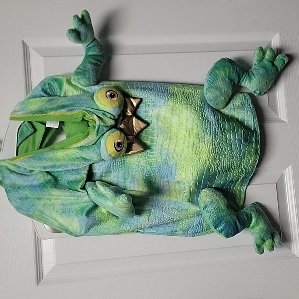 Top Paw Green Frog Prince Dog Costume